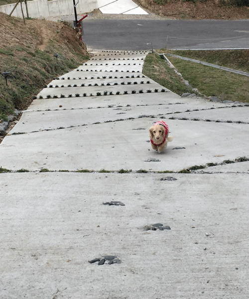 ブログ畫像