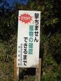ブログ畫像