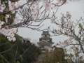 ブログ畫(huà)像