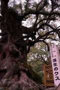 ブログ畫像