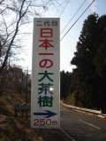 ブログ畫像