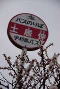ブログ畫像