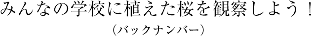みんなの學校に植えた桜を観察しよう!(バックナンバー)