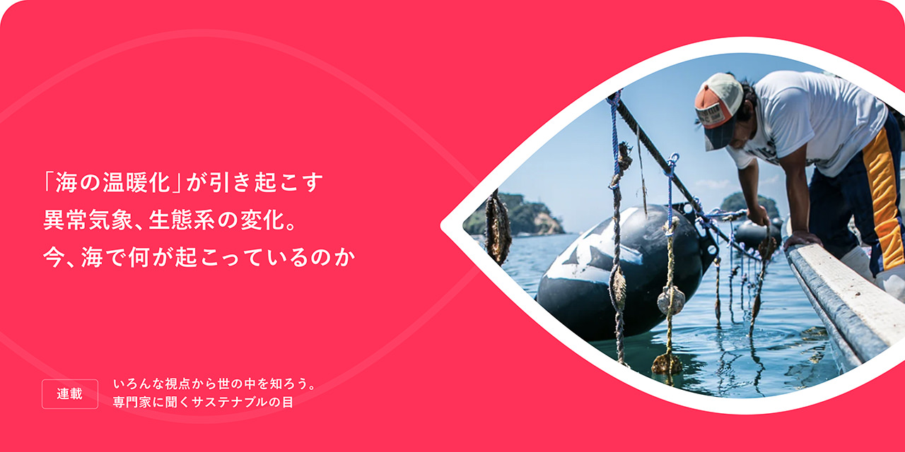 「海の溫暖化」が引き起こす異常気象、生態系の変化。今、海で何が起こっているのか