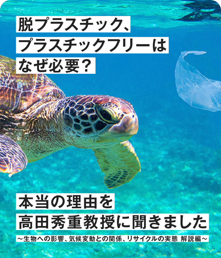脫プラスチック、プラスチックフリーはなぜ必要？本當の理由を高田秀重教授に聞きました?解説編?