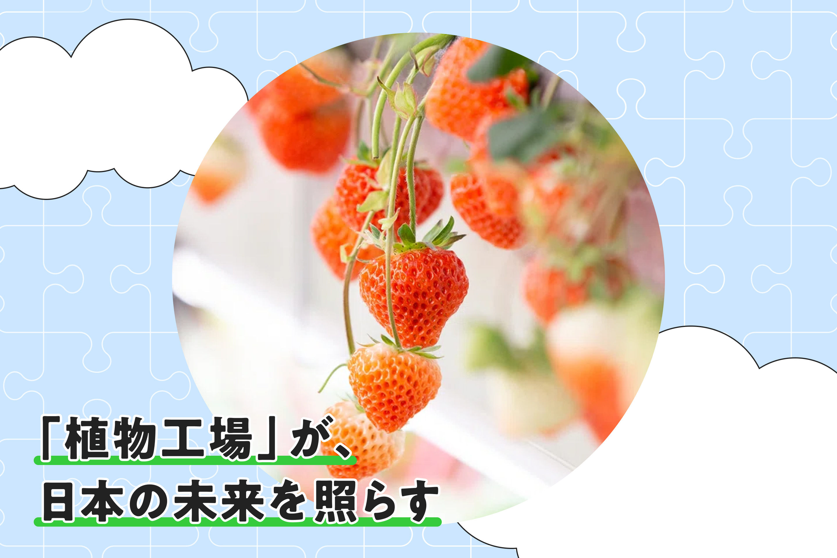 「植物工場」が、日本の未來を照らす