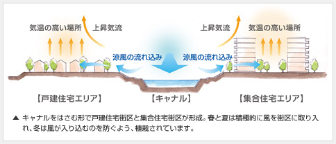 キャナルをはさむ形で戸建住宅街區と集合住宅街區が形成。春と夏は積極的に風を街區に取り入れ、冬は風が入り込むのを防ぐよう、植栽されています。