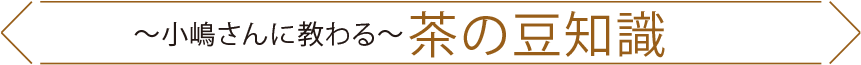 ～小嶋さんに教わる～ 茶の豆知識(shí)