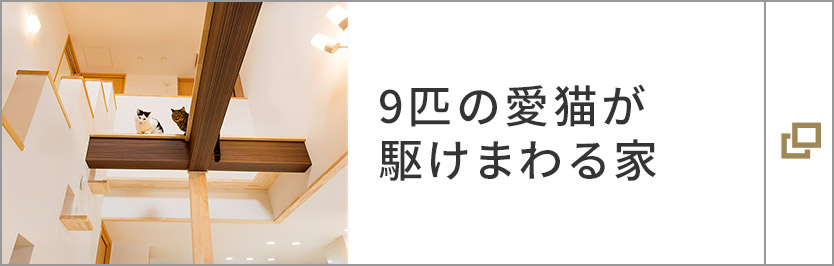 9匹の愛貓が駆けまわる家