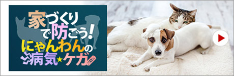 家づくりで防ごう！にゃんわんの病気?ケガ