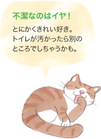 不潔なのはイヤ！　とにかくきれい好き。トイレが汚かったら別のところでしちゃうかも。