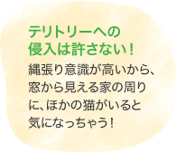 テリトリーへの侵入は許さない！　縄張り意識が高いから、窓から見える家の周りに、ほかの貓がいると気になっちゃう！