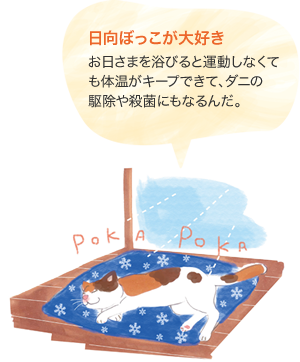 日向ぼっこが大好き　お日さまを浴びると運動しなくても體溫がキープできて、ダニの駆除や殺菌にもなるんだ。