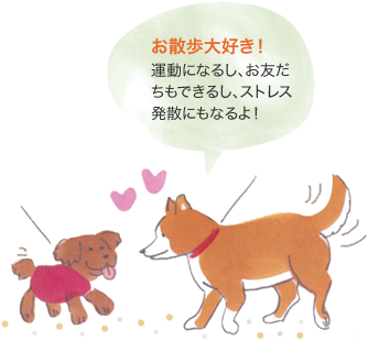 お散歩大好き！　運動になるし、お友だちもできるし、ストレス発散にもなるよ！