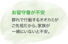 お留守番が不安　群れで行動するオオカミがご先祖だから、家族が一緒にいないと不安。