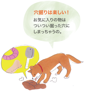 穴掘りは楽しい！　お気に入りの物はついつい掘った穴にしまっちゃうの。
