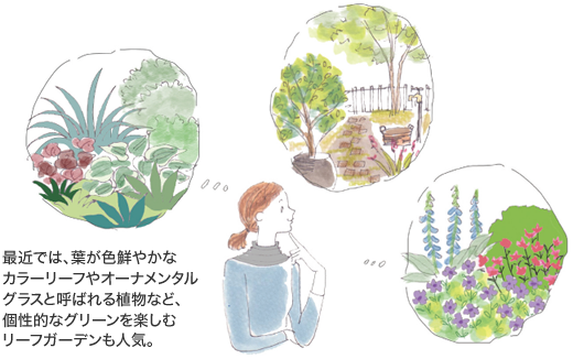 最近では、葉が色鮮やかなカラーリーフやオーナメンタルグラスと呼ばれる植物など、個性的なグリーンを楽しむリーフガーデンも人気。